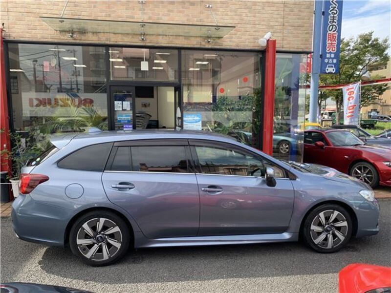 LEVORG