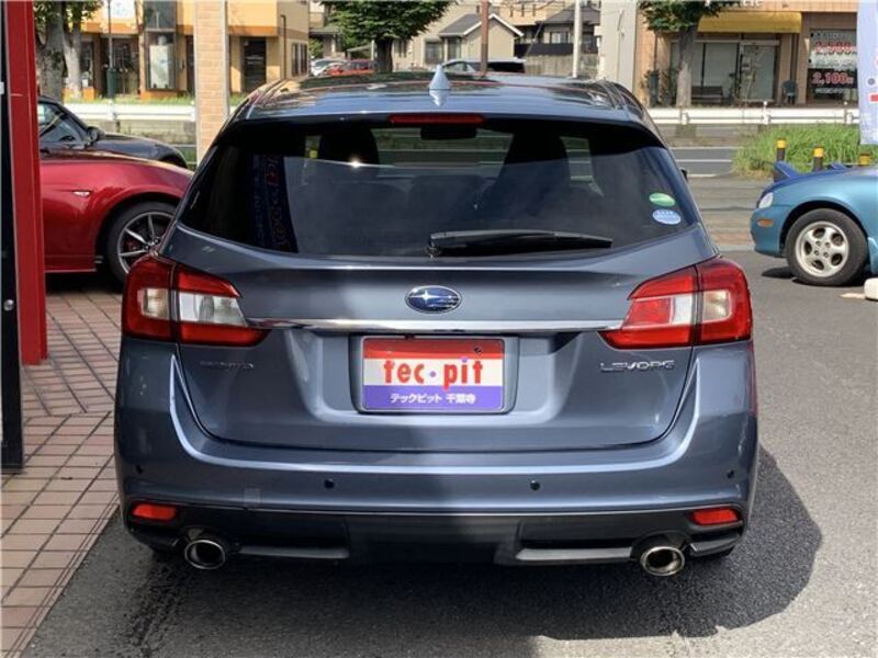 LEVORG