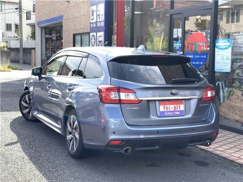LEVORG