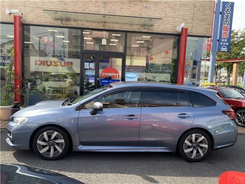 LEVORG