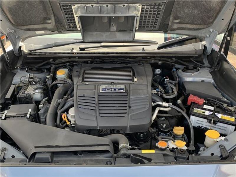 LEVORG