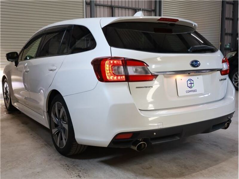 LEVORG