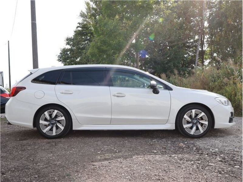 LEVORG