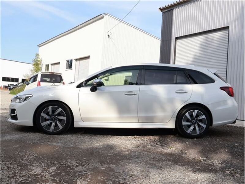 LEVORG