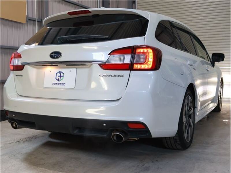 LEVORG
