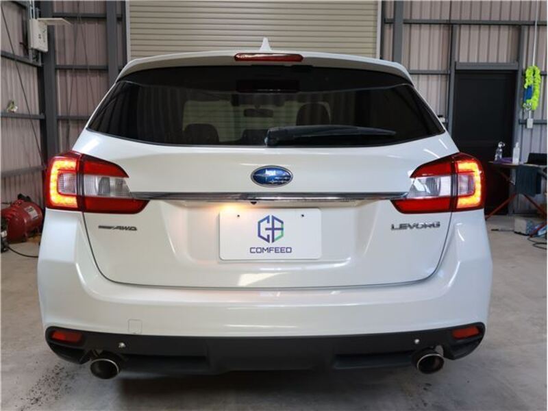 LEVORG