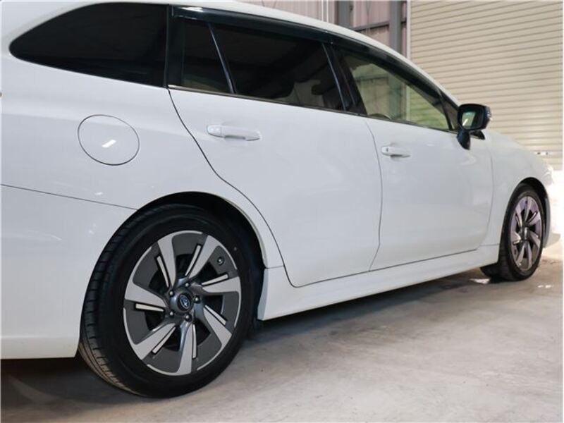 LEVORG