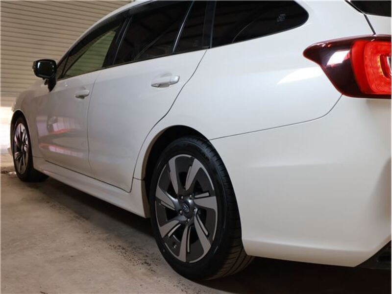 LEVORG