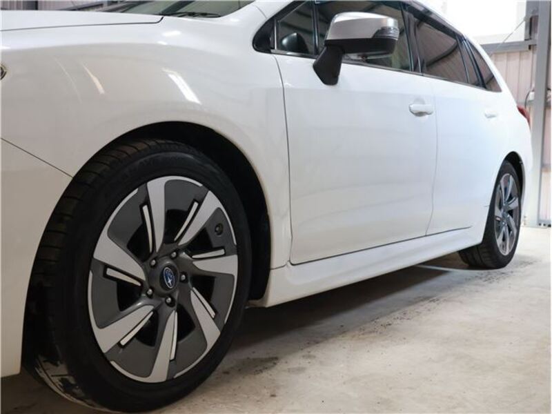 LEVORG