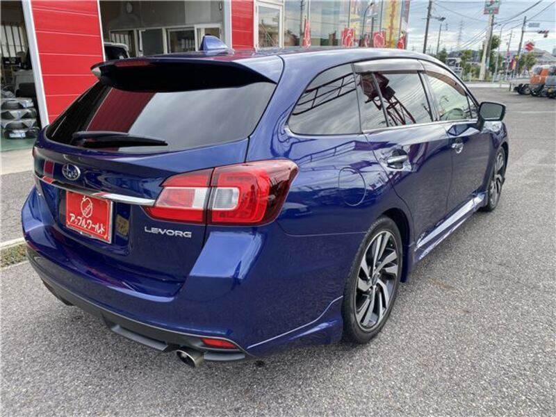 LEVORG