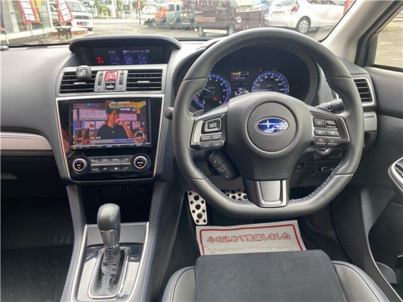 LEVORG