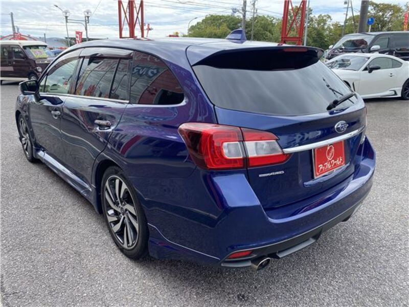 LEVORG