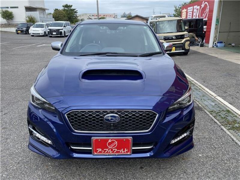 LEVORG