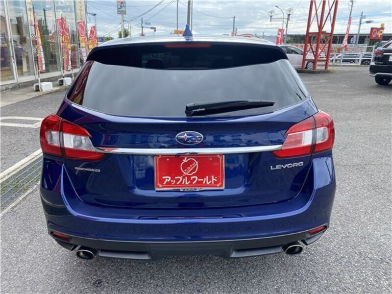LEVORG
