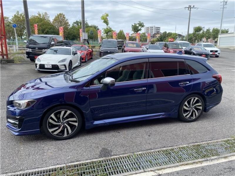 LEVORG