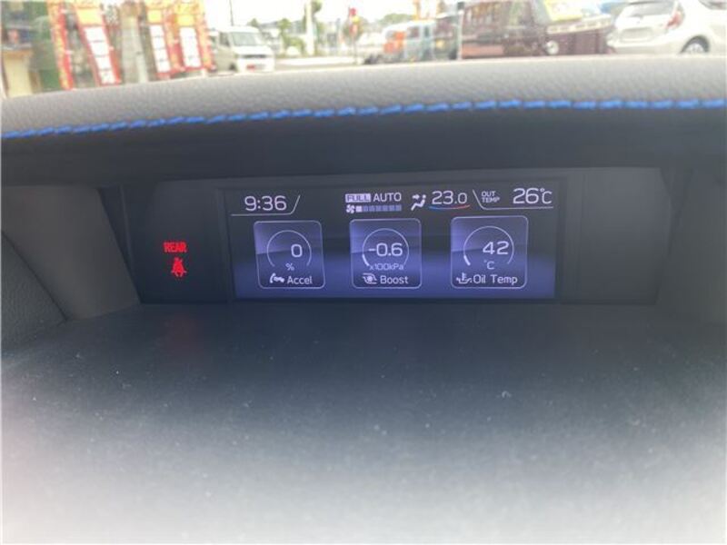 LEVORG