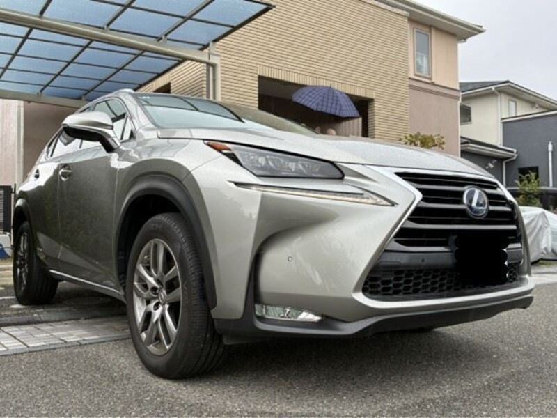 NX