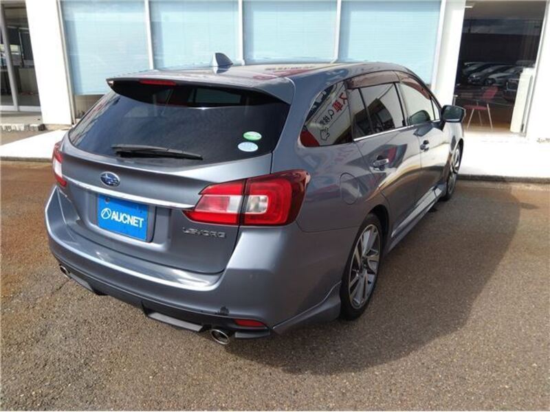 LEVORG