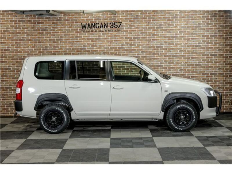PROBOX VAN