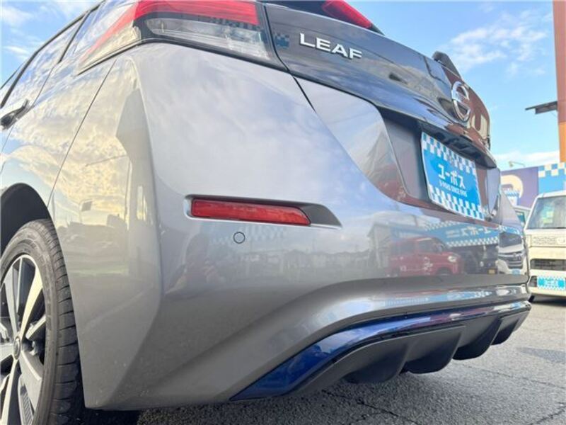 LEAF