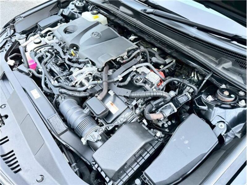 CAMRY