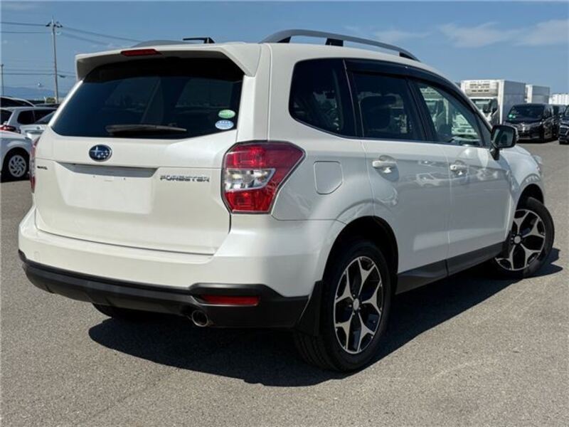 FORESTER