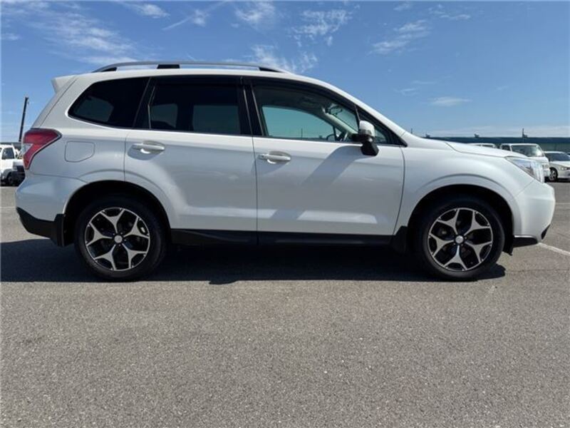 FORESTER
