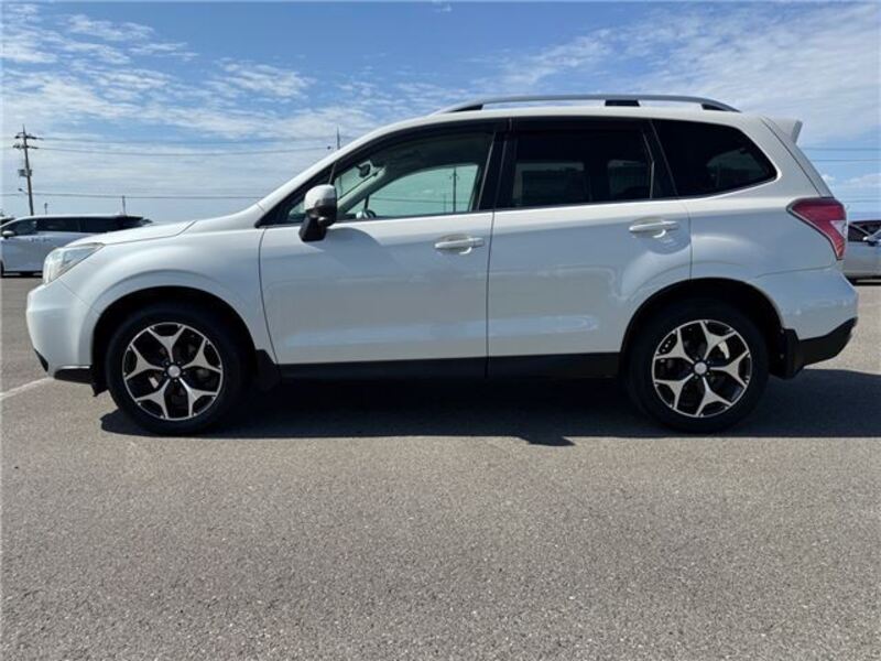 FORESTER