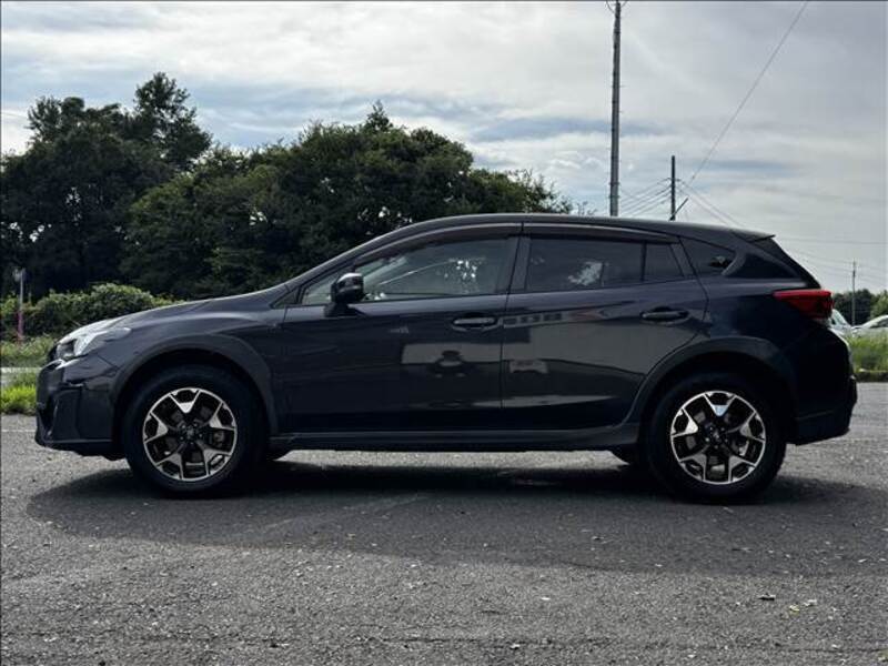 XV