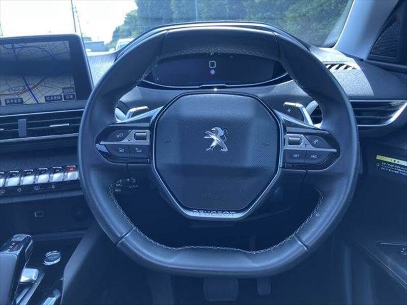 3008
