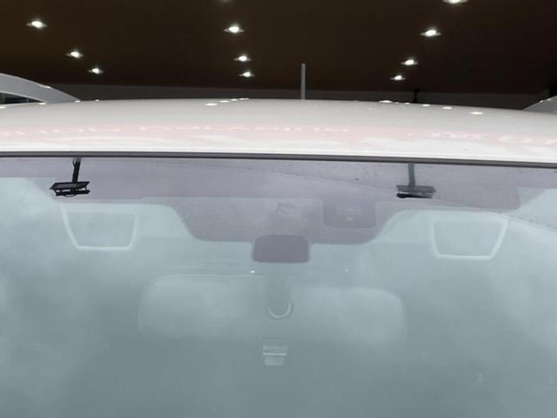 XV