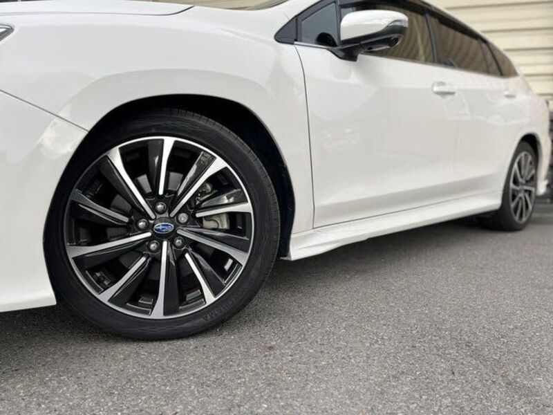 LEVORG