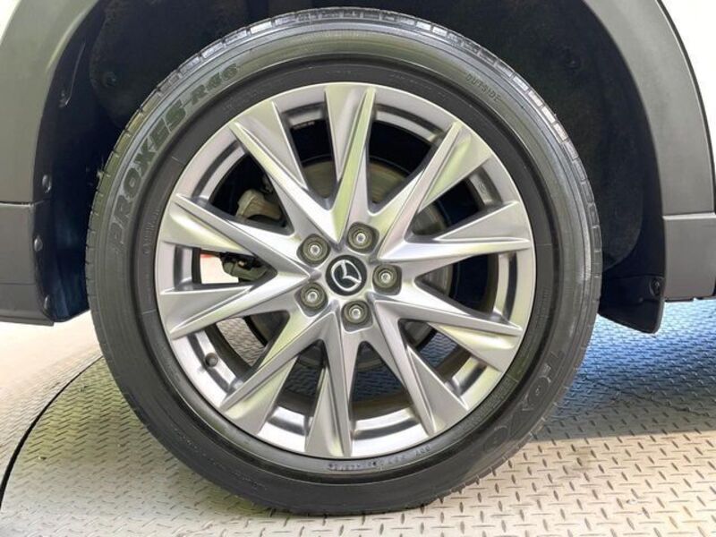 CX-8