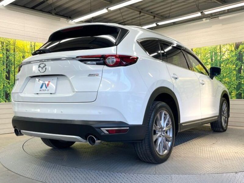 CX-8