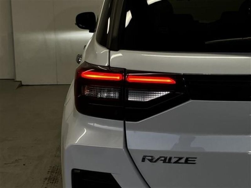 RAIZE