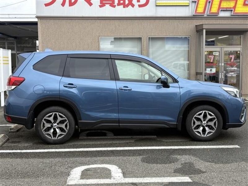 FORESTER