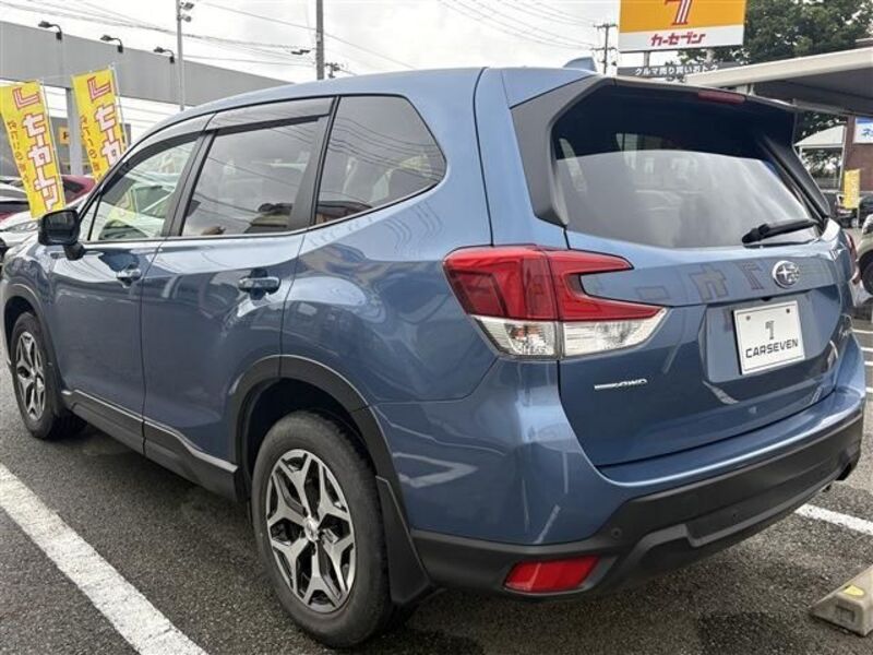 FORESTER