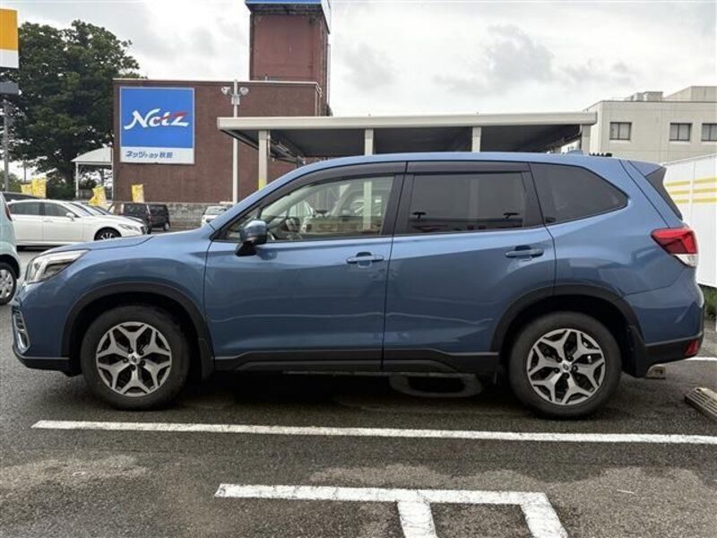 FORESTER