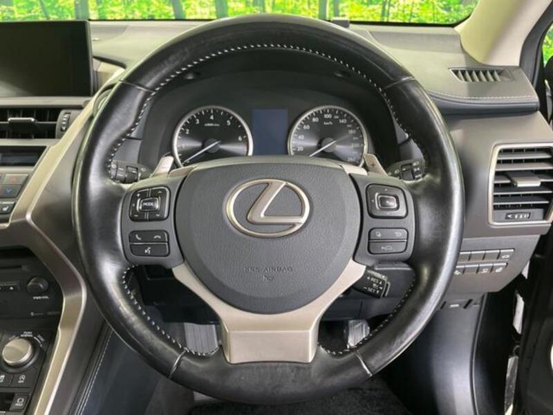 NX