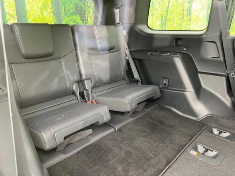 LAND CRUISER 250