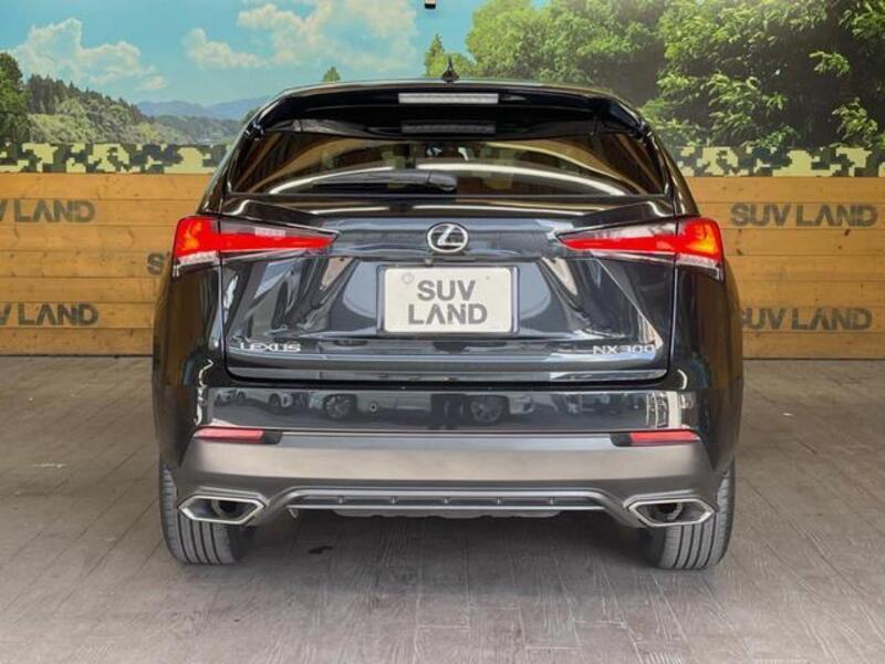 NX