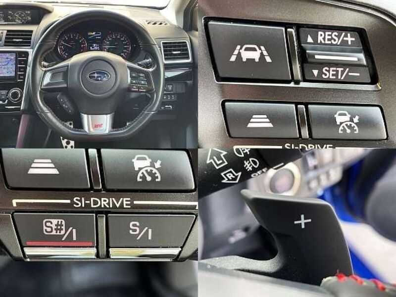 LEVORG