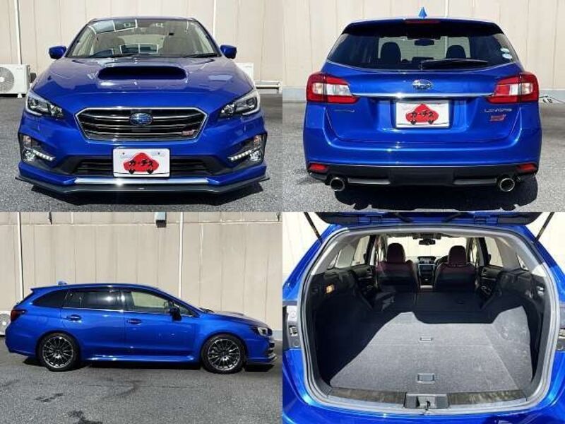 LEVORG