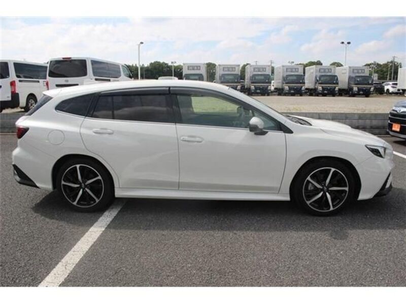 LEVORG