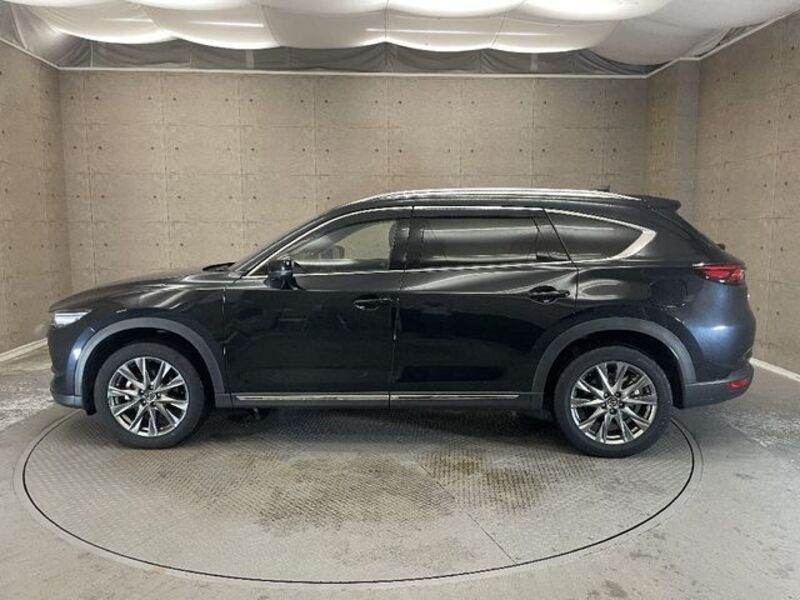 CX-8