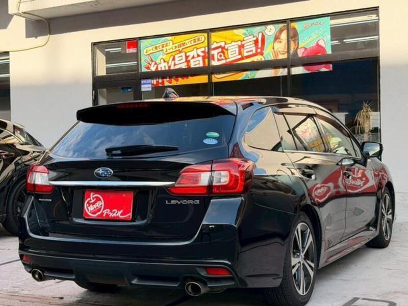 LEVORG