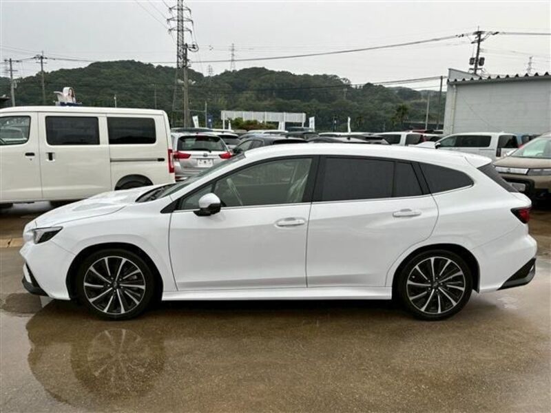 LEVORG