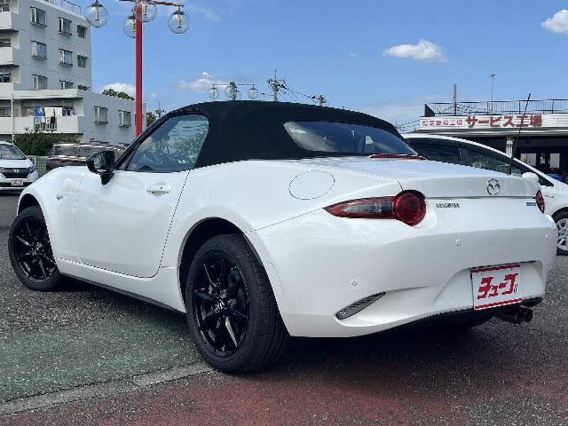 ROADSTER