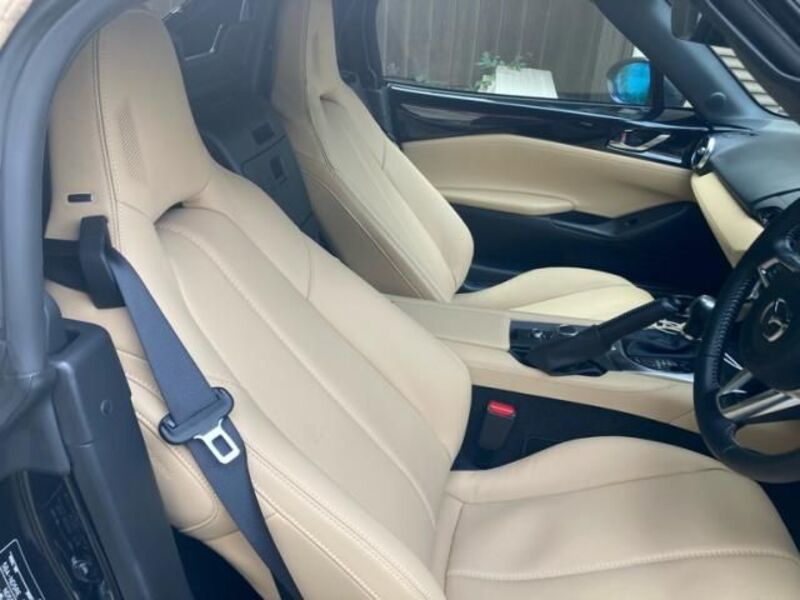 ROADSTER
