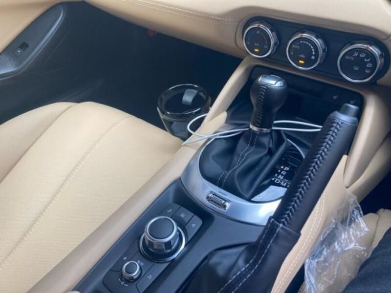 ROADSTER